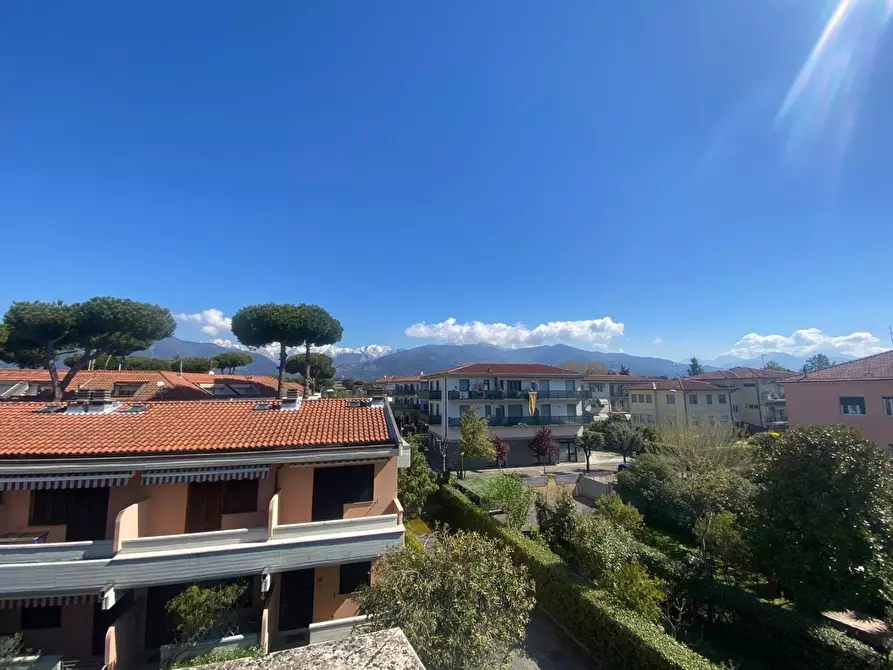 Immagine 17 di Appartamento in vendita  a Massa