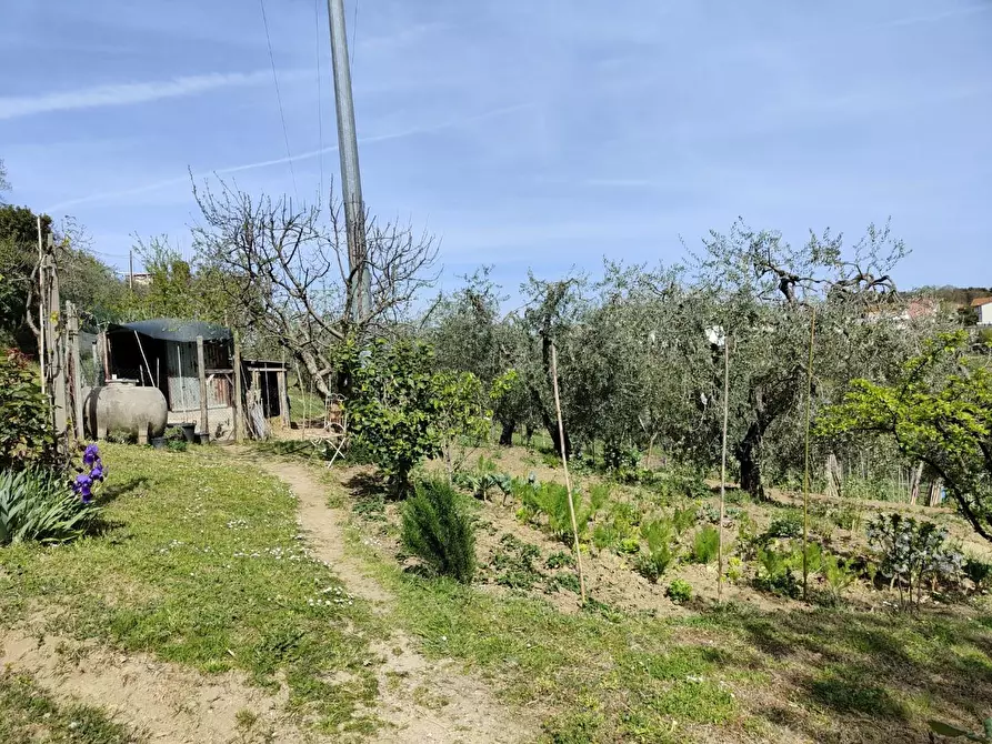 Immagine 38 di Terratetto in vendita  a Crespina Lorenzana