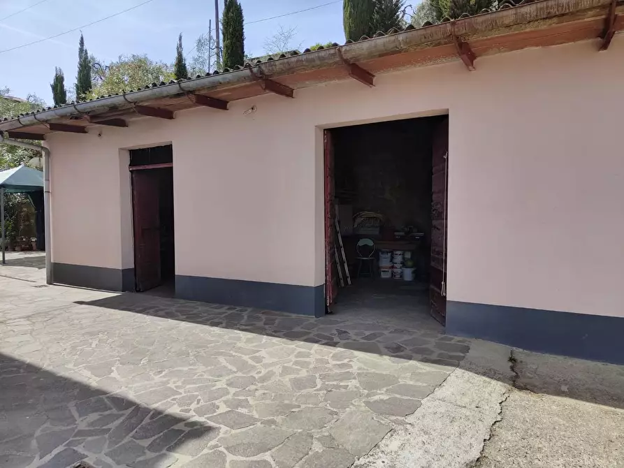 Immagine 39 di Terratetto in vendita  a Crespina Lorenzana