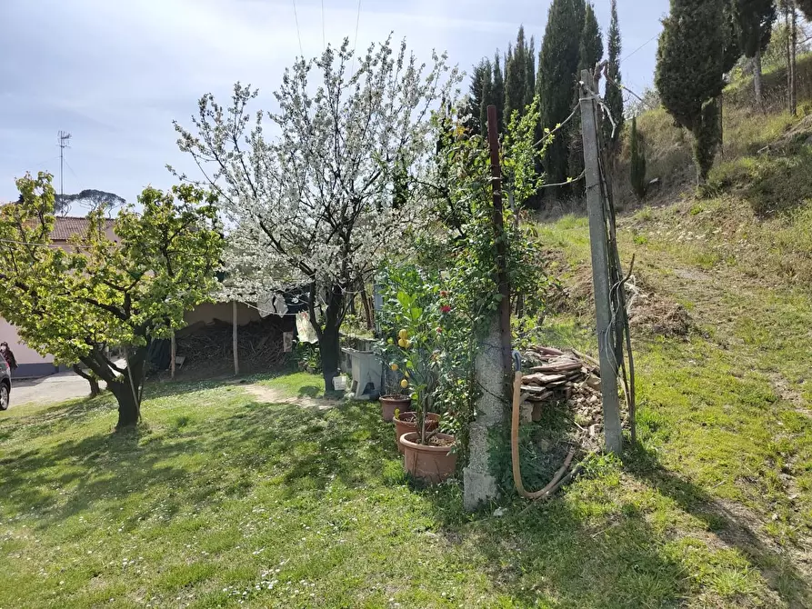 Immagine 37 di Terratetto in vendita  a Crespina Lorenzana
