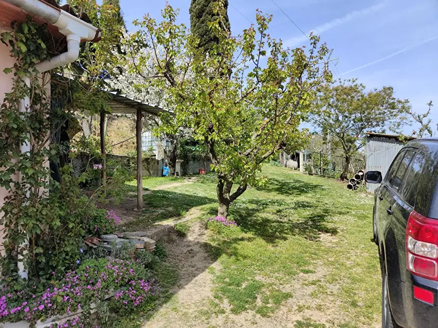 Immagine 44 di Terratetto in vendita  a Crespina Lorenzana