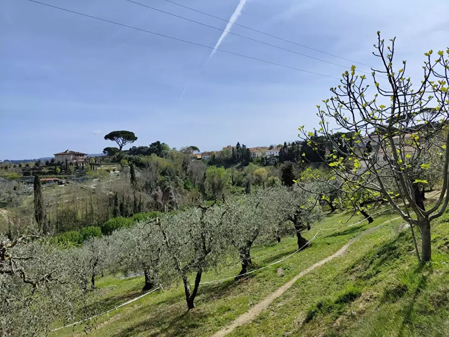 Immagine 34 di Terratetto in vendita  a Crespina Lorenzana