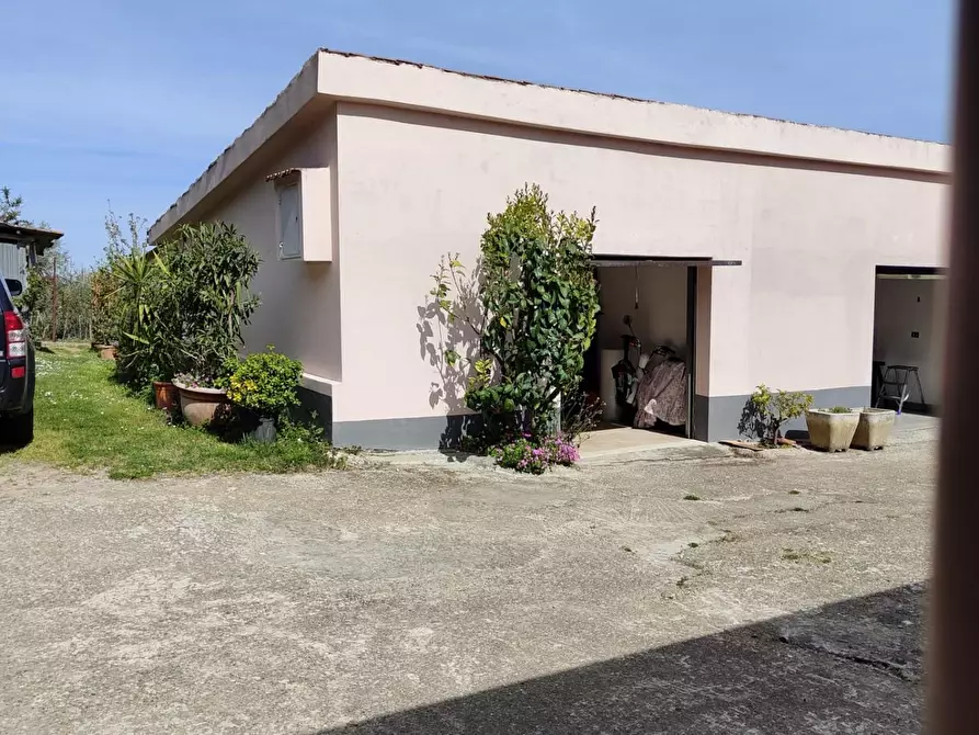 Immagine 43 di Terratetto in vendita  a Crespina Lorenzana