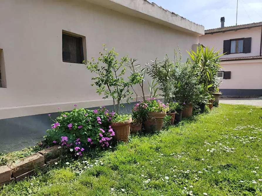 Immagine 27 di Terratetto in vendita  a Crespina Lorenzana