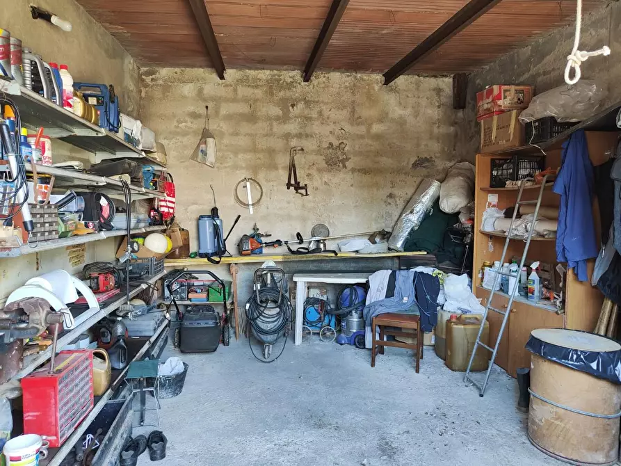 Immagine 32 di Terratetto in vendita  a Crespina Lorenzana