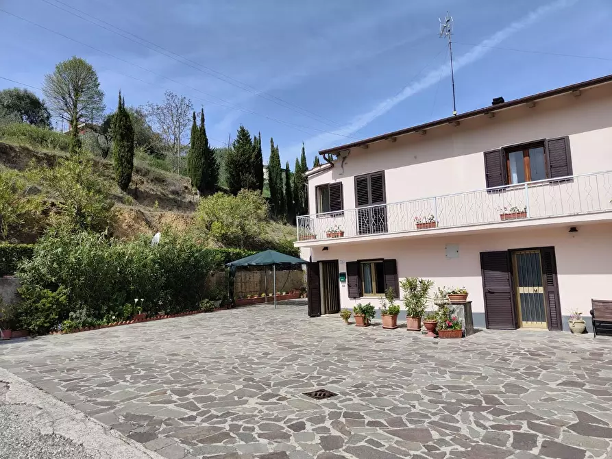 Immagine 28 di Terratetto in vendita  a Crespina Lorenzana