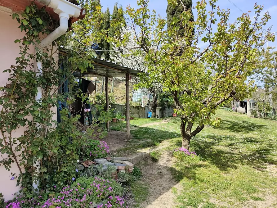 Immagine 42 di Terratetto in vendita  a Crespina Lorenzana