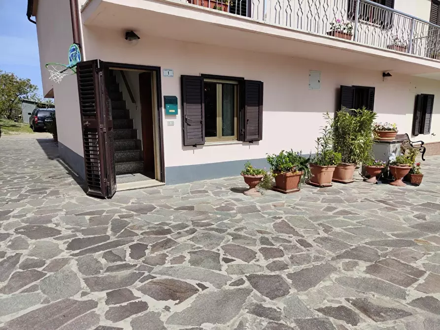 Immagine 46 di Terratetto in vendita  a Crespina Lorenzana