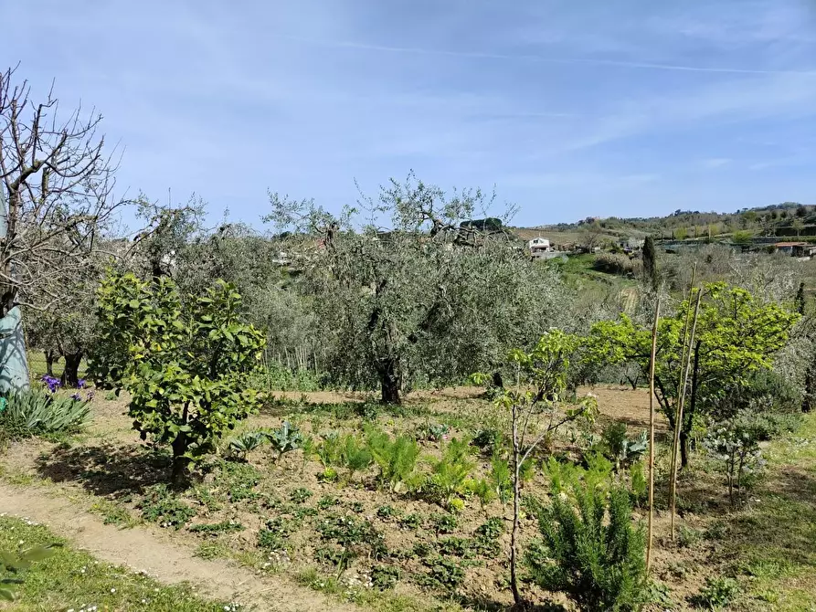Immagine 40 di Terratetto in vendita  a Crespina Lorenzana