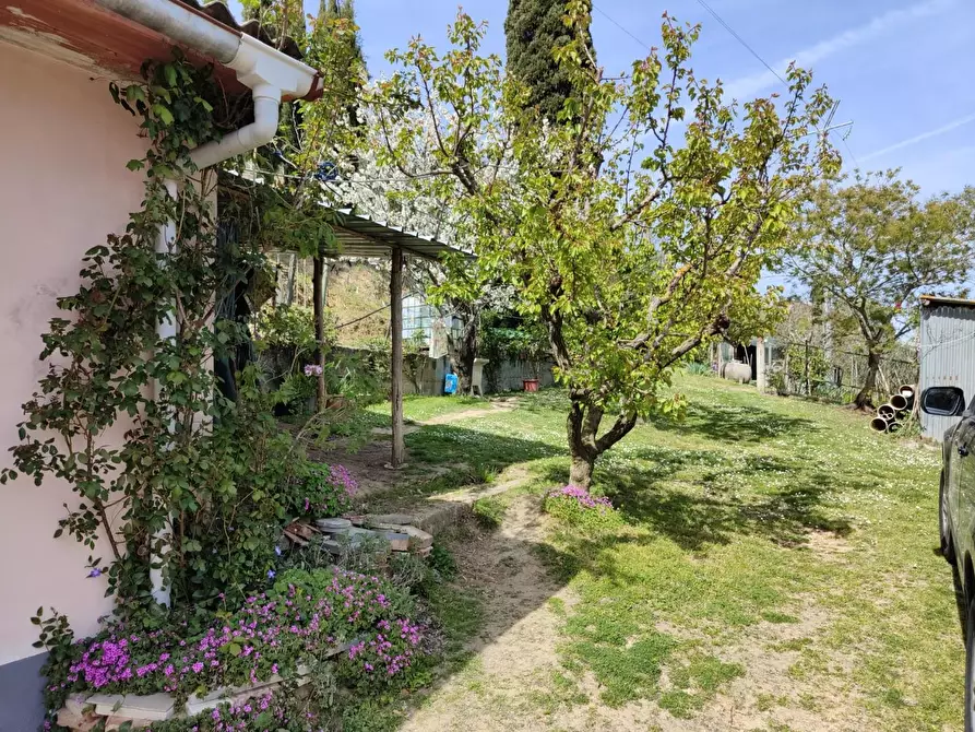 Immagine 33 di Terratetto in vendita  a Crespina Lorenzana