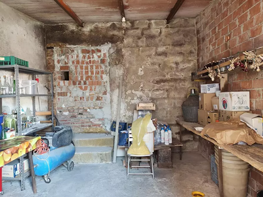 Immagine 30 di Terratetto in vendita  a Crespina Lorenzana