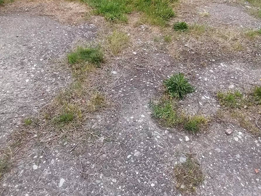 Immagine 3 di Deposito in vendita  a Capannori