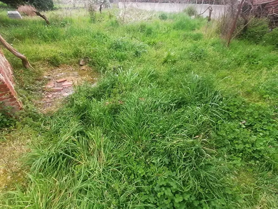 Immagine 2 di Deposito in vendita  a Capannori