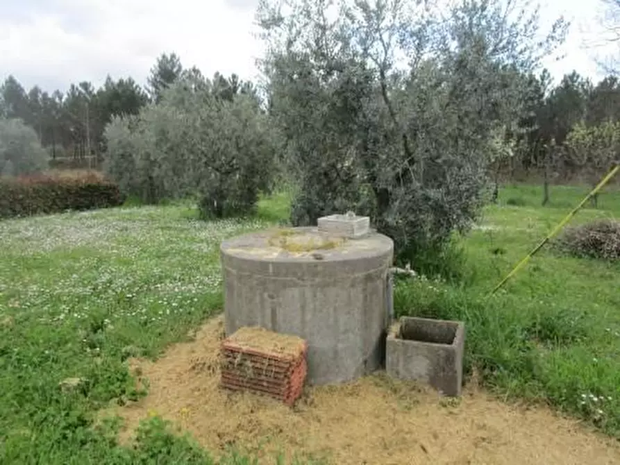 Immagine 5 di Terratetto in vendita  a Santa Croce Sull'arno