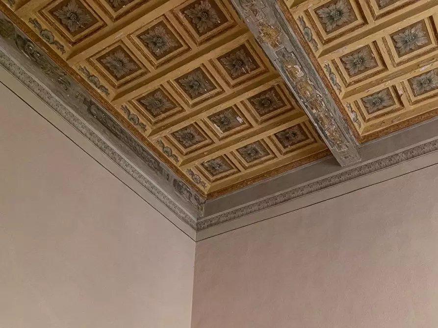 Immagine 37 di Appartamento in vendita  a Pisa