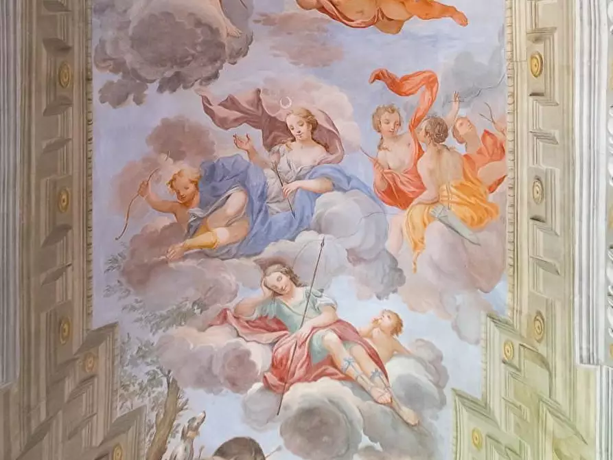 Immagine 44 di Appartamento in vendita  a Pisa