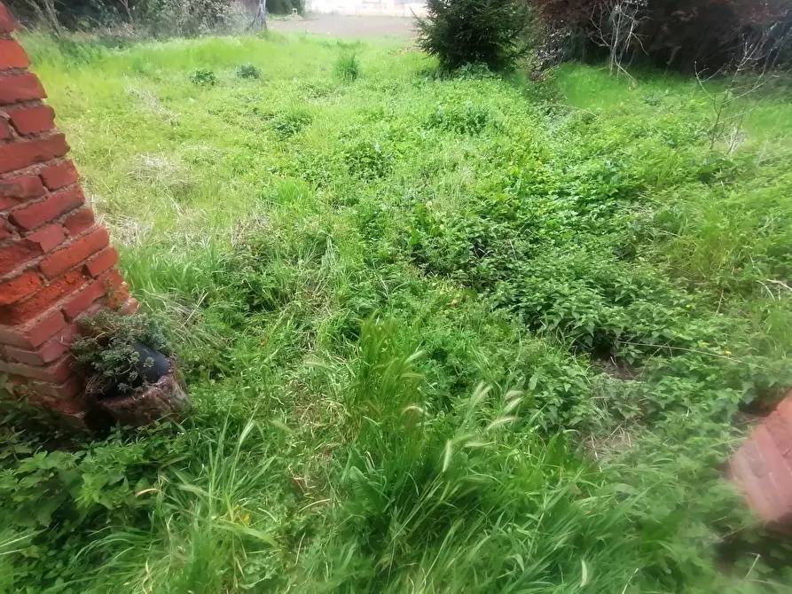 Immagine 6 di Deposito in vendita  a Capannori