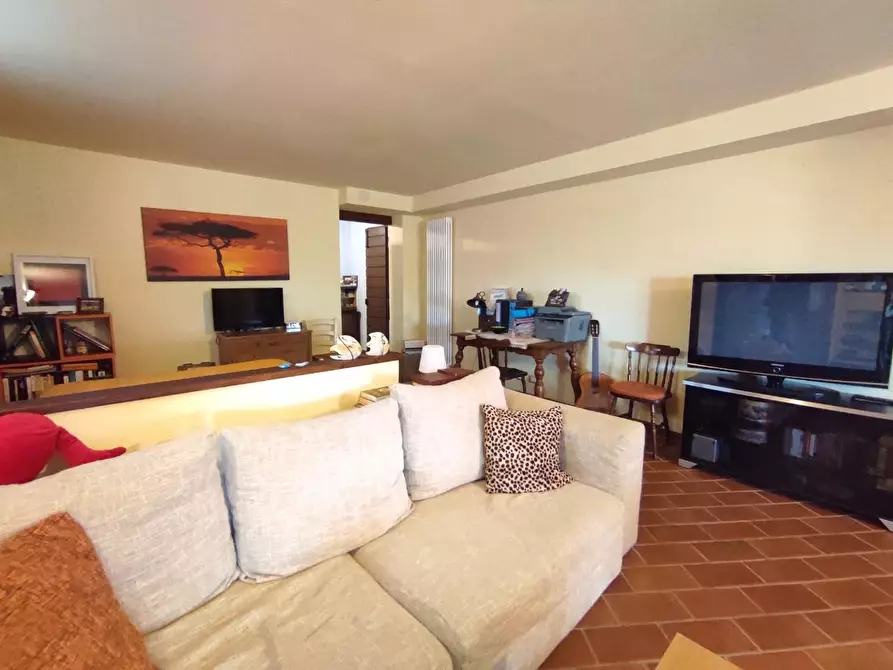 Immagine 60 di Casa colonica in vendita  a Arcola