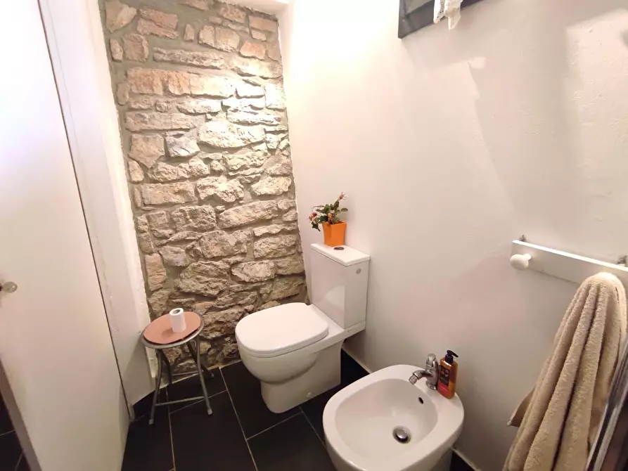 Immagine 57 di Casa colonica in vendita  a Arcola