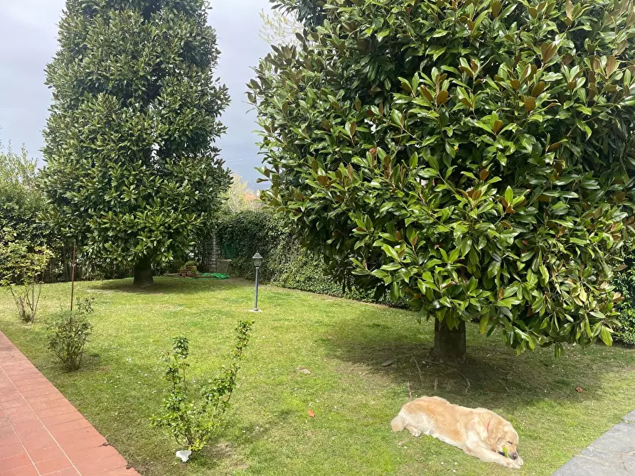 Immagine 24 di Villa in affitto  a Forte Dei Marmi