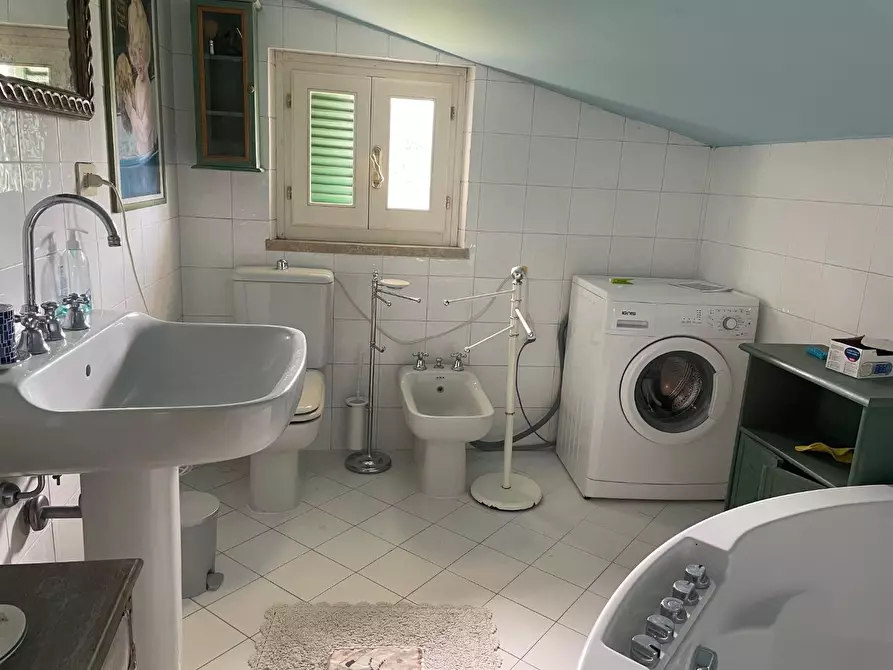 Immagine 15 di Villa in affitto  a Forte Dei Marmi