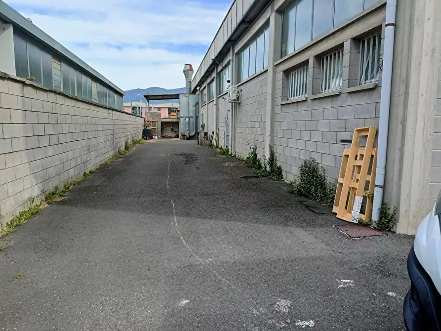 Immagine 3 di Laboratorio in vendita  a Cascina