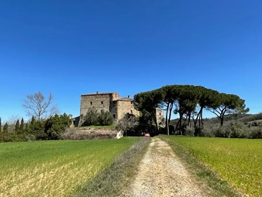 Immagine 1 di Castello in vendita  a Monteriggioni