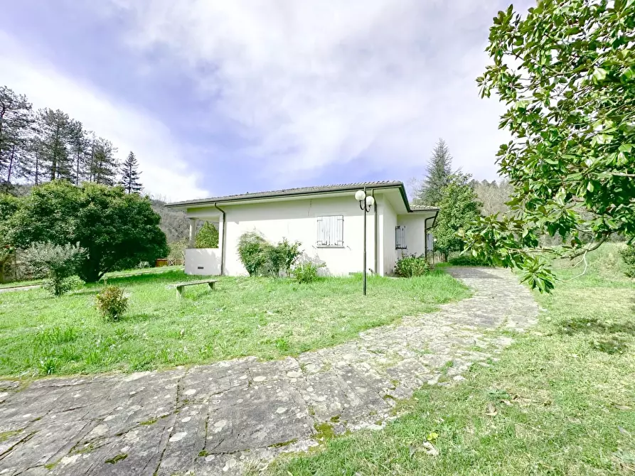 Immagine 57 di Villa in vendita  a Camaiore