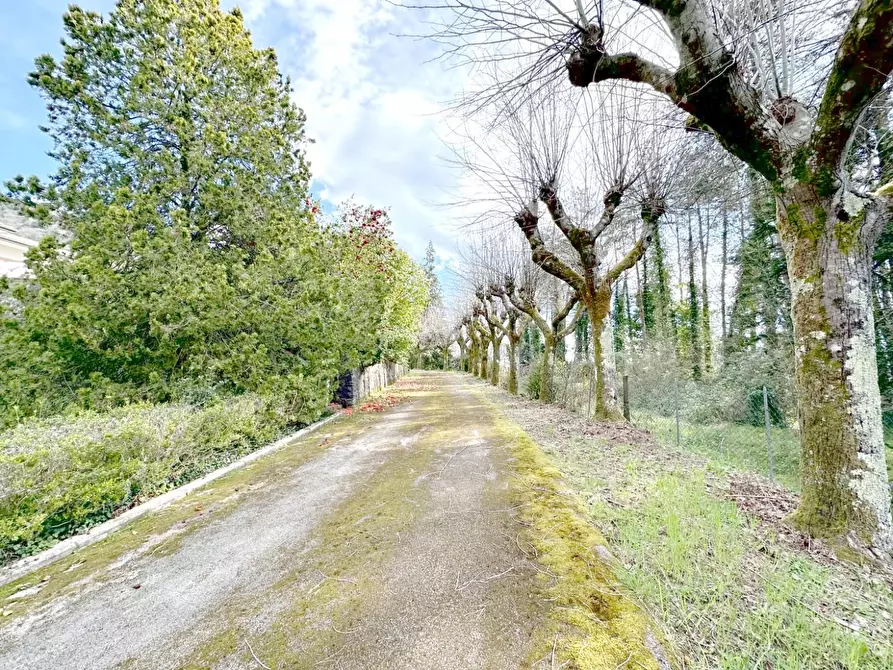 Immagine 67 di Villa in vendita  a Camaiore