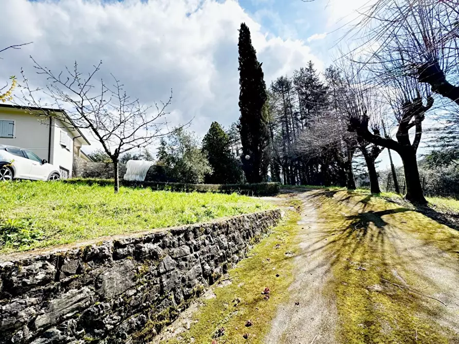 Immagine 72 di Villa in vendita  a Camaiore