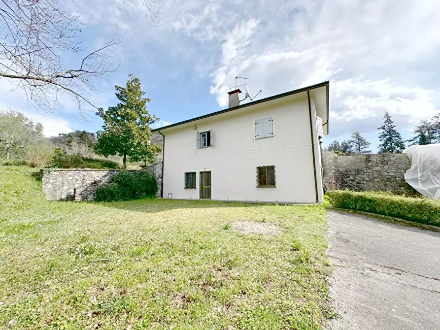 Immagine 64 di Villa in vendita  a Camaiore