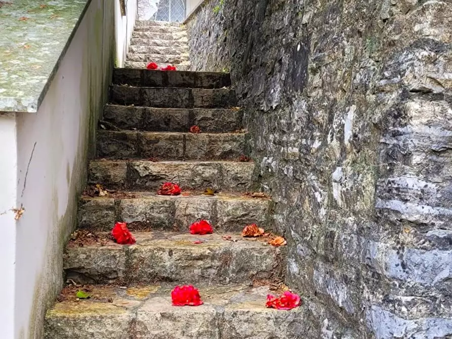 Immagine 49 di Villa in vendita  a Camaiore