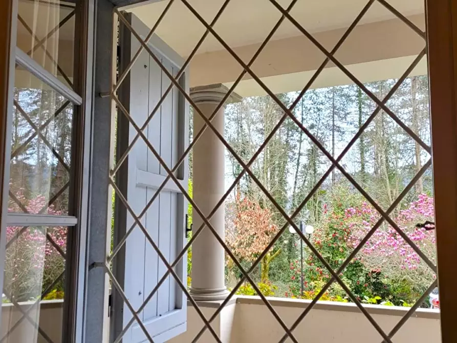 Immagine 19 di Villa in vendita  a Camaiore