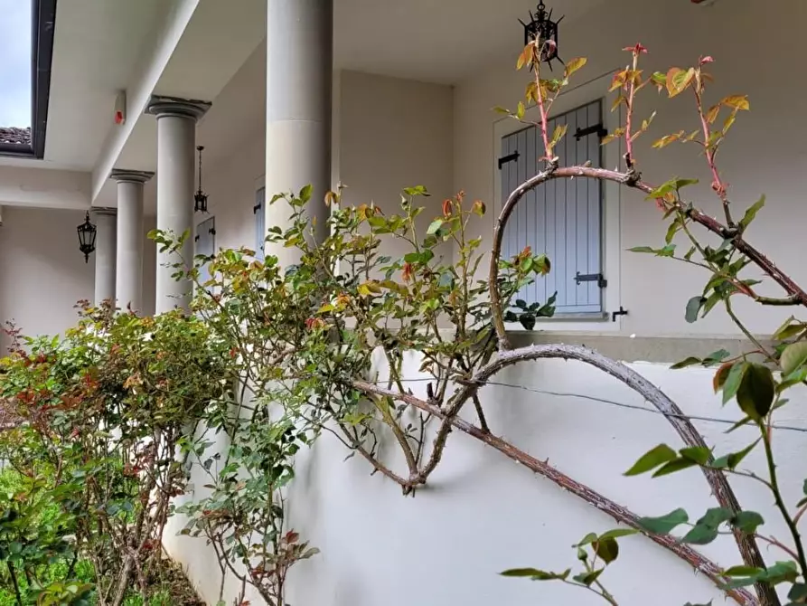 Immagine 44 di Villa in vendita  a Camaiore