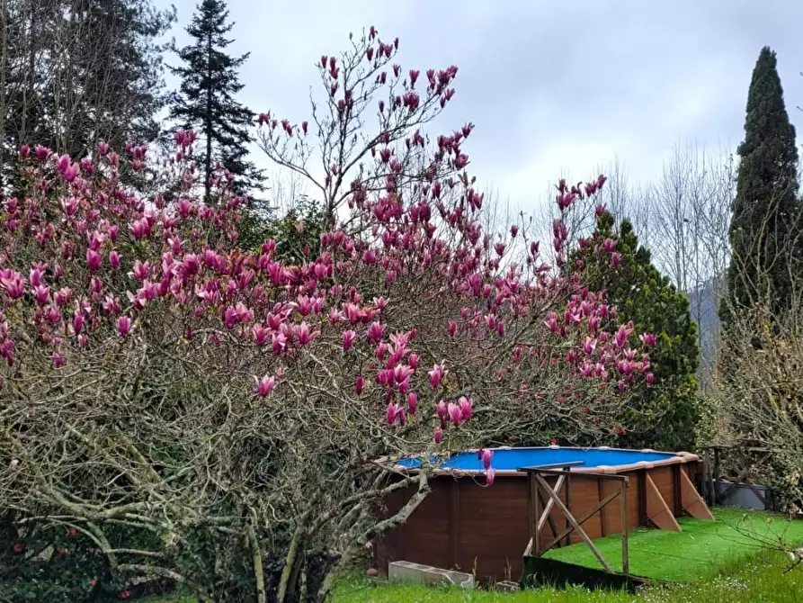 Immagine 51 di Villa in vendita  a Camaiore