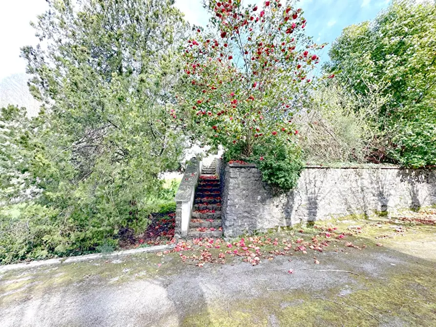 Immagine 68 di Villa in vendita  a Camaiore