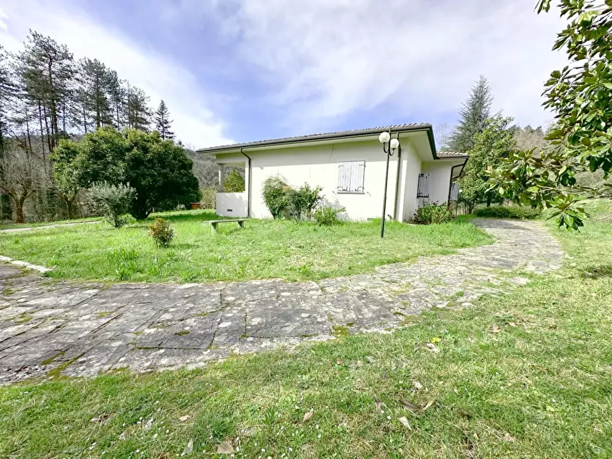 Immagine 58 di Villa in vendita  a Camaiore