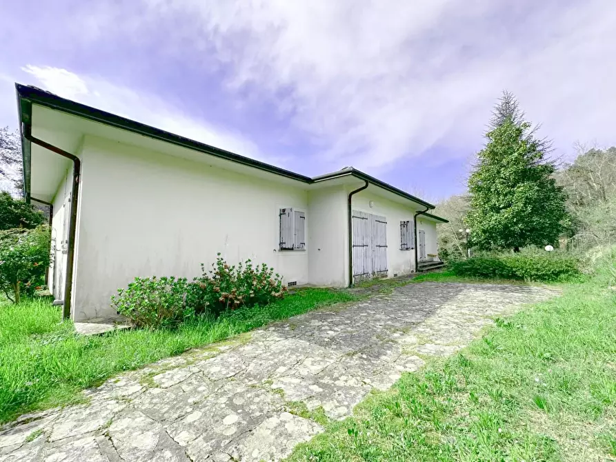 Immagine 59 di Villa in vendita  a Camaiore