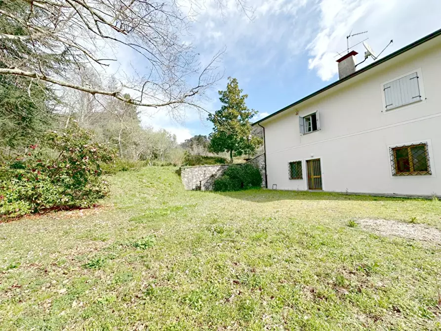 Immagine 65 di Villa in vendita  a Camaiore