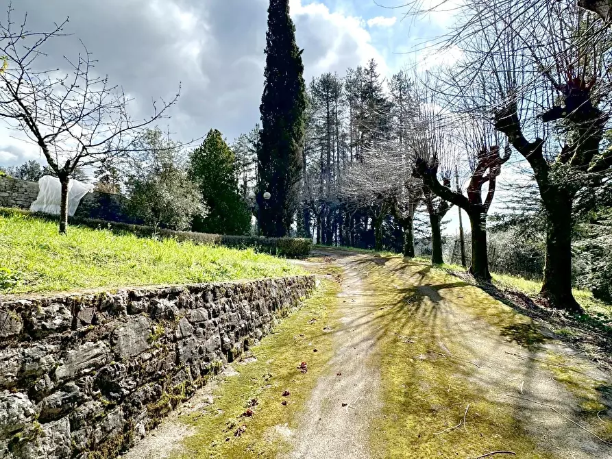 Immagine 71 di Villa in vendita  a Camaiore