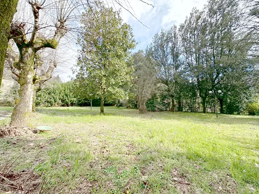 Immagine 56 di Villa in vendita  a Camaiore