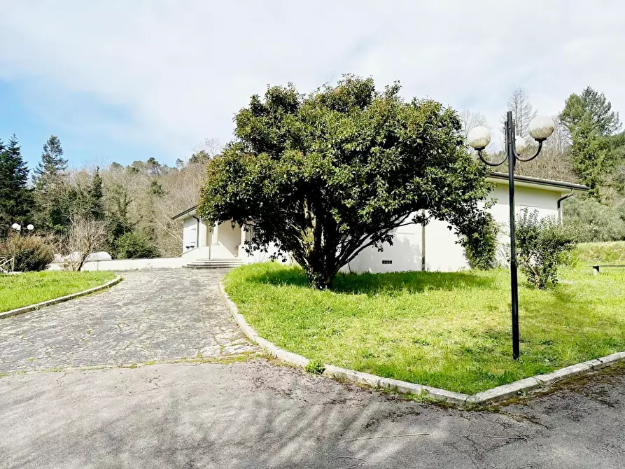 Immagine 54 di Villa in vendita  a Camaiore