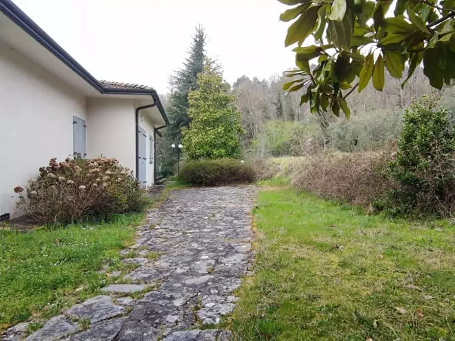 Immagine 53 di Villa in vendita  a Camaiore