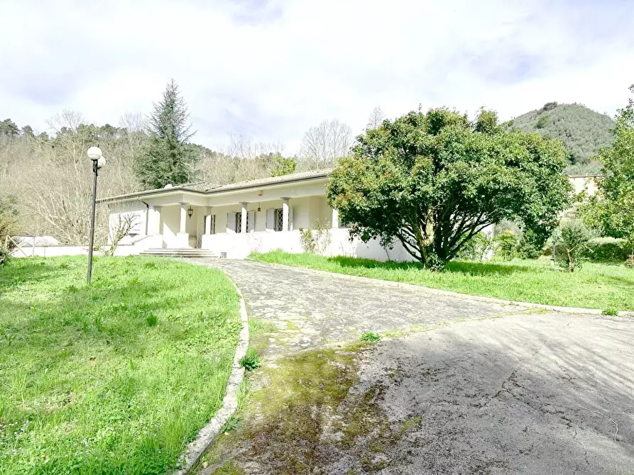 Immagine 69 di Villa in vendita  a Camaiore