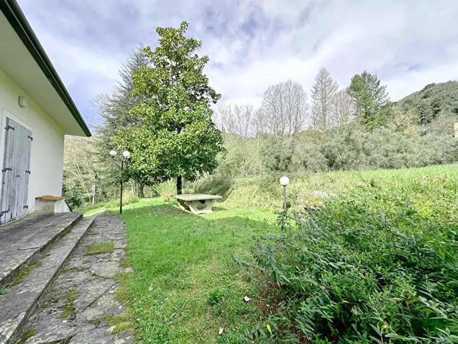 Immagine 60 di Villa in vendita  a Camaiore