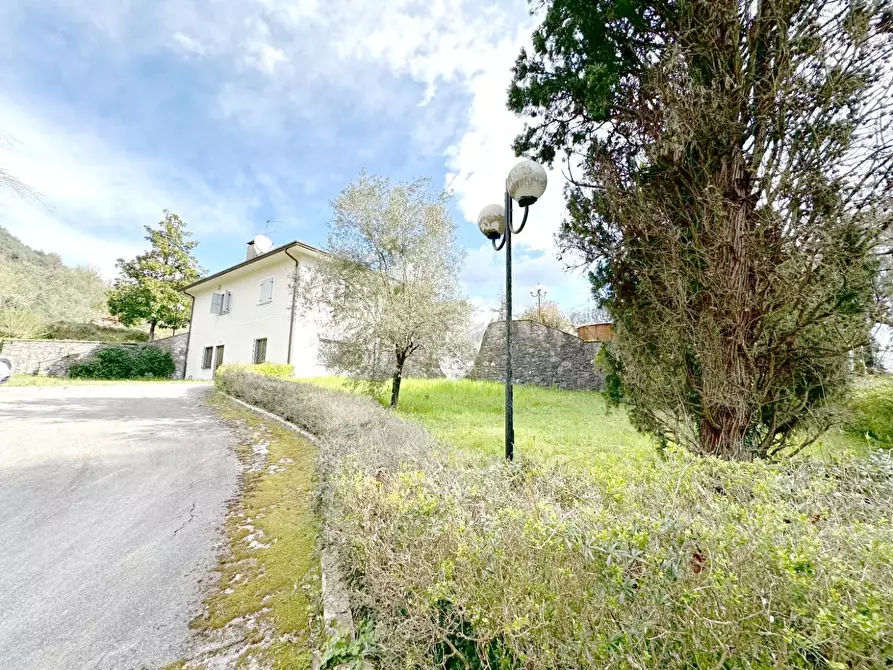 Immagine 66 di Villa in vendita  a Camaiore