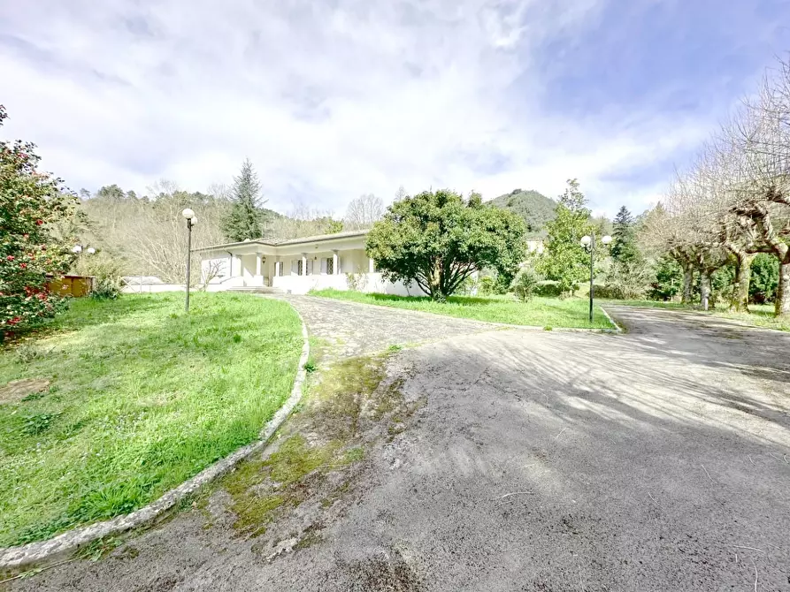 Immagine 70 di Villa in vendita  a Camaiore