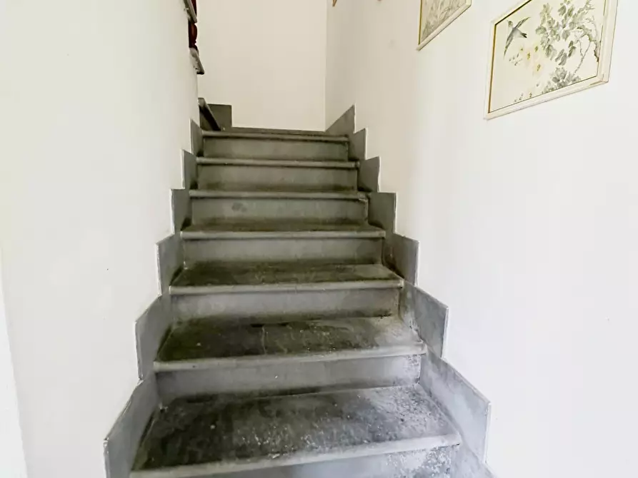 Immagine 43 di Villa in vendita  a Camaiore