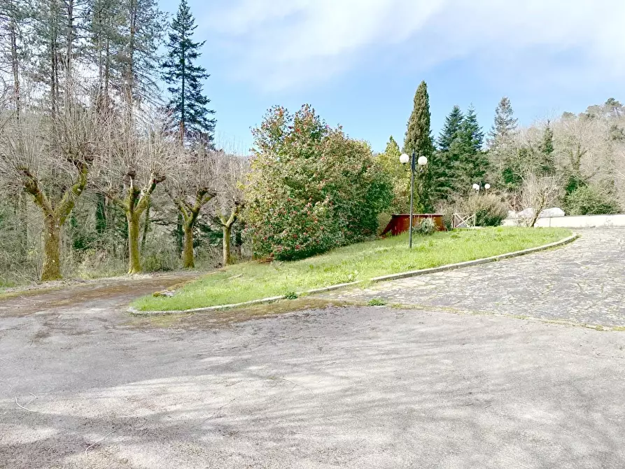 Immagine 55 di Villa in vendita  a Camaiore