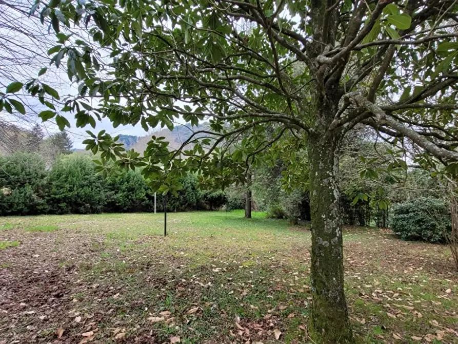 Immagine 54 di Villa in vendita  a Camaiore